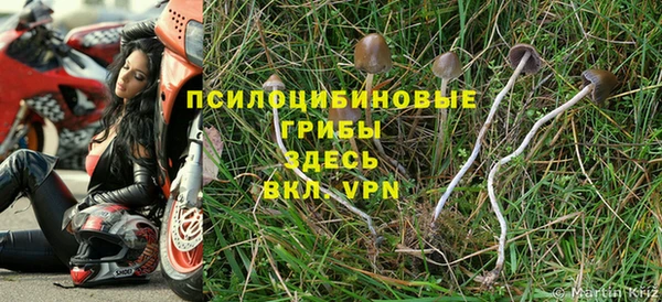 каннабис Надым