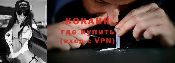 прущие грибы Михайловка