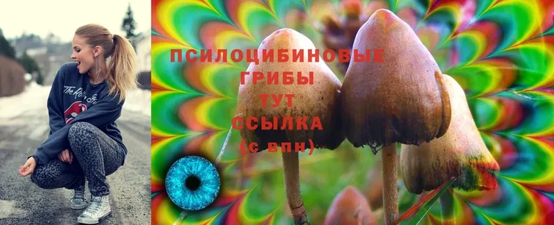 ссылка на мегу   Нижний Ломов  Галлюциногенные грибы MAGIC MUSHROOMS 